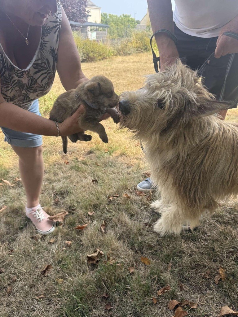 Sam et ses bébés 