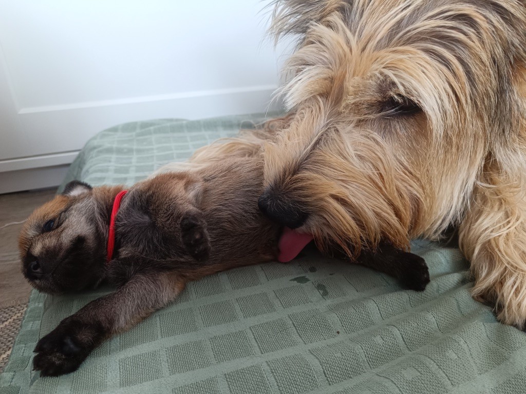 Maman et Bébé